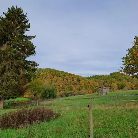 Holiday home Eifel