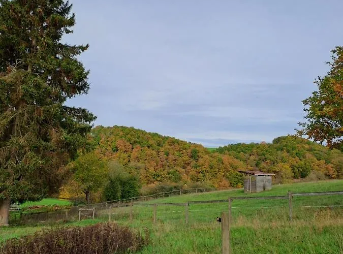 Дом отдыха Eifel